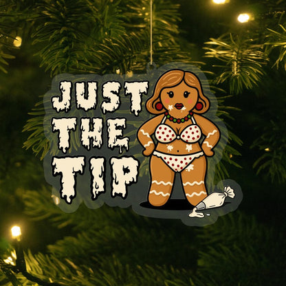 Naughty & Hilarious Christmas Ornaments | Adult Humor Tree Decorations & Gag Gifts 🎅🔥