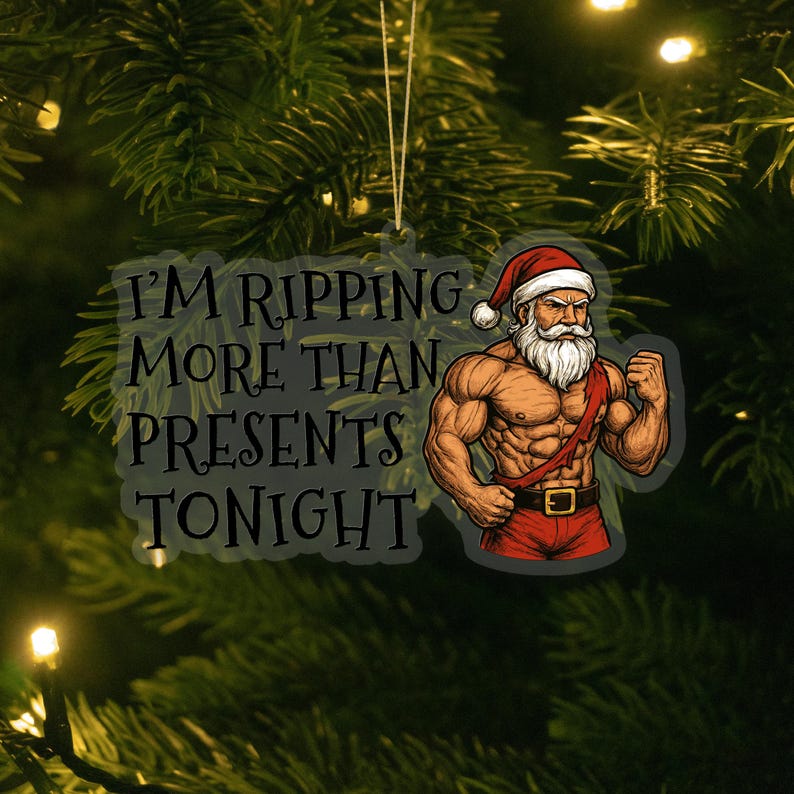 Naughty & Hilarious Christmas Ornaments | Adult Humor Tree Decorations & Gag Gifts 🎅🔥