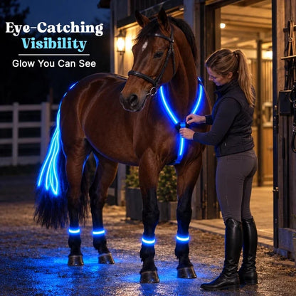 🐎Light-up Horse-riding Set – Glowing Fun for Little Riders! ✨