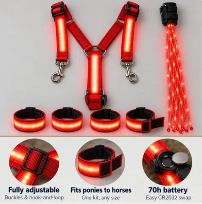 🐎Light-up Horse-riding Set – Glowing Fun for Little Riders! ✨