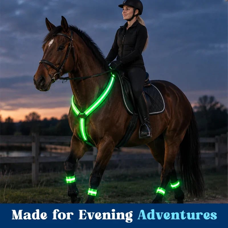 🐎Light-up Horse-riding Set – Glowing Fun for Little Riders! ✨