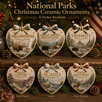 🎄 National Parks x Christmas Ornament