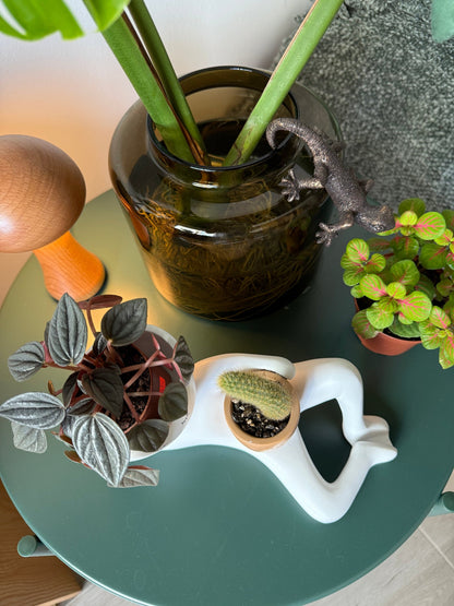 Lazy Guy Planter – Funny Reclining Face Succulent Pot with Mini Planter for Home & Desk Decor