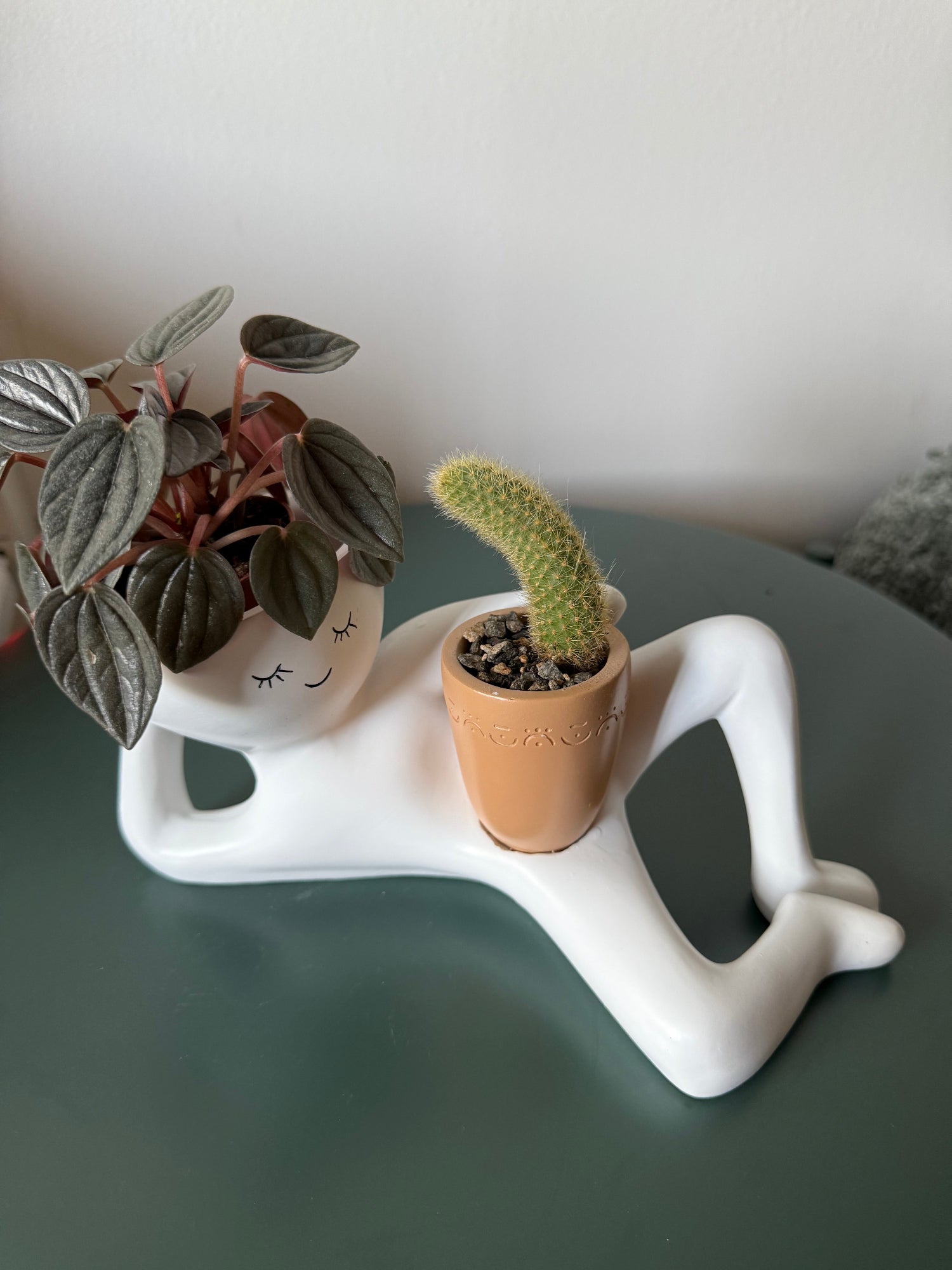 Reclining planter styled on a tabletop with a small cactus