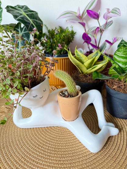 Lazy Guy Planter – Funny Reclining Face Succulent Pot with Mini Planter for Home & Desk Decor