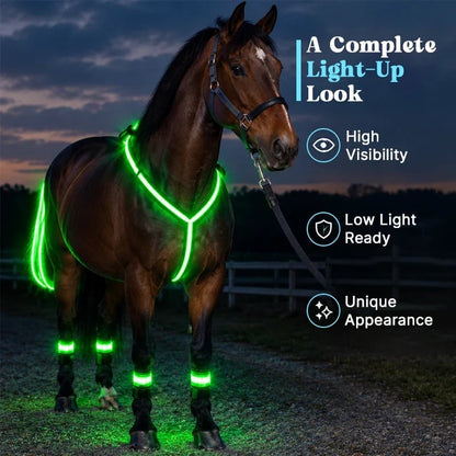 🐎Light-up Horse-riding Set – Glowing Fun for Little Riders! ✨