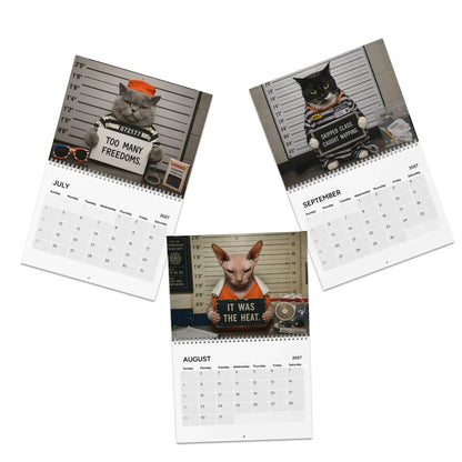 🔥Last Day 50% OFF - 😂Cat Criminal of the Day 2027