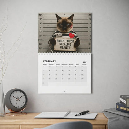 🔥Last Day 50% OFF - 😂Cat Criminal of the Day 2027
